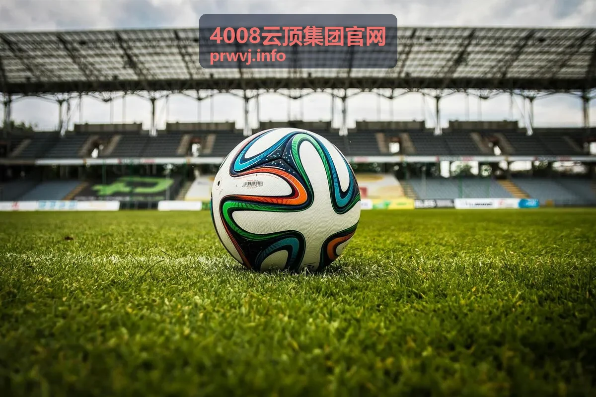 4008云顶集团官网资源配置建议